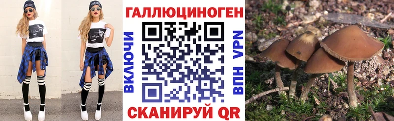 Галлюциногенные грибы Psilocybine cubensis  Купить закладки  Камызяк 