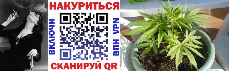 Купить  Камызяк  Канабис планчик 